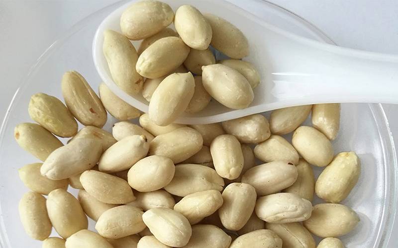 Blanched Peanut Kernels
